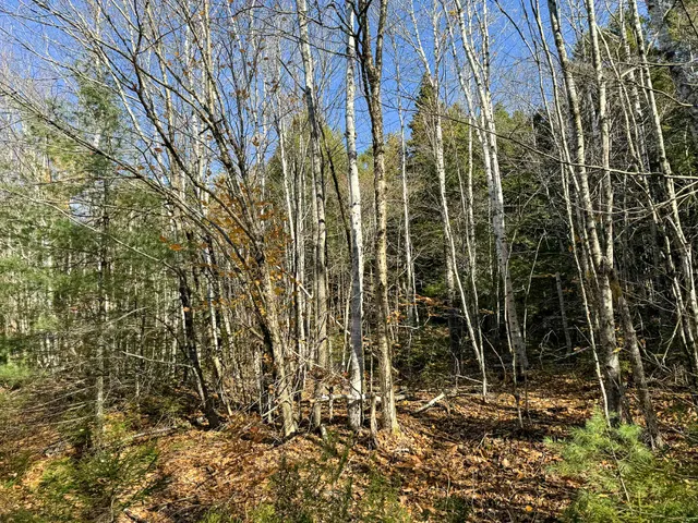 $165,000 | Lot 15 Long Lake Road, Northfield, ME 04654