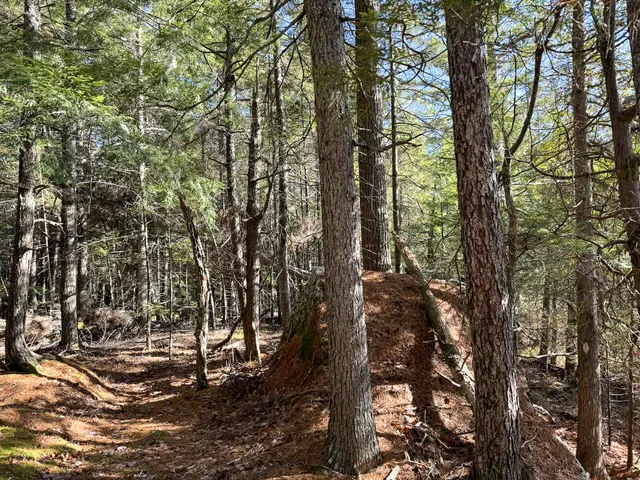 $165,000 | Lot 15 Long Lake Road, Northfield, ME 04654