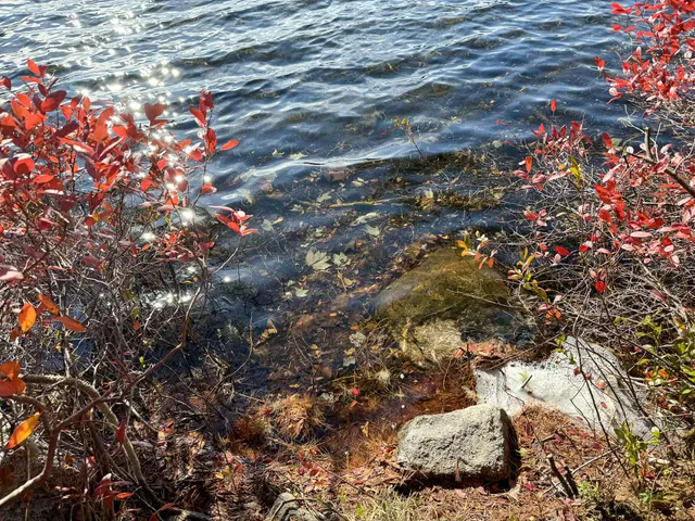 $165,000 | Lot 15 Long Lake Road, Northfield, ME 04654