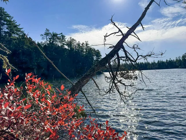 $165,000 | Lot 15 Long Lake Road, Northfield, ME 04654