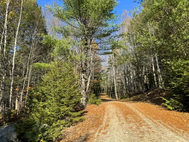 $165,000 | Lot 15 Long Lake Road, Northfield, ME 04654