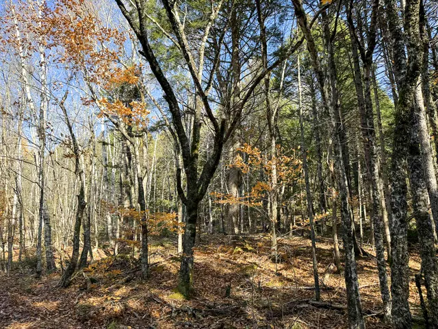 $165,000 | Lot 15 Long Lake Road, Northfield, ME 04654