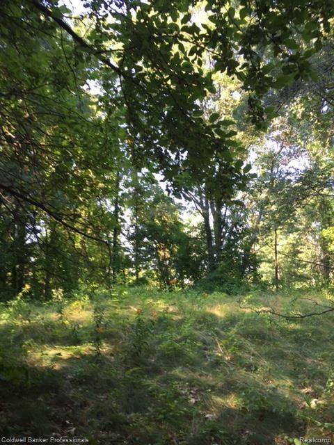 0 Cayuga Road Lake Orion, MI 48362 - Photo 2 of 14