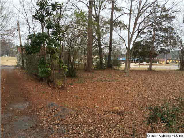 503 5th Street North Oneonta, AL 35121 - Photo 13 of 32