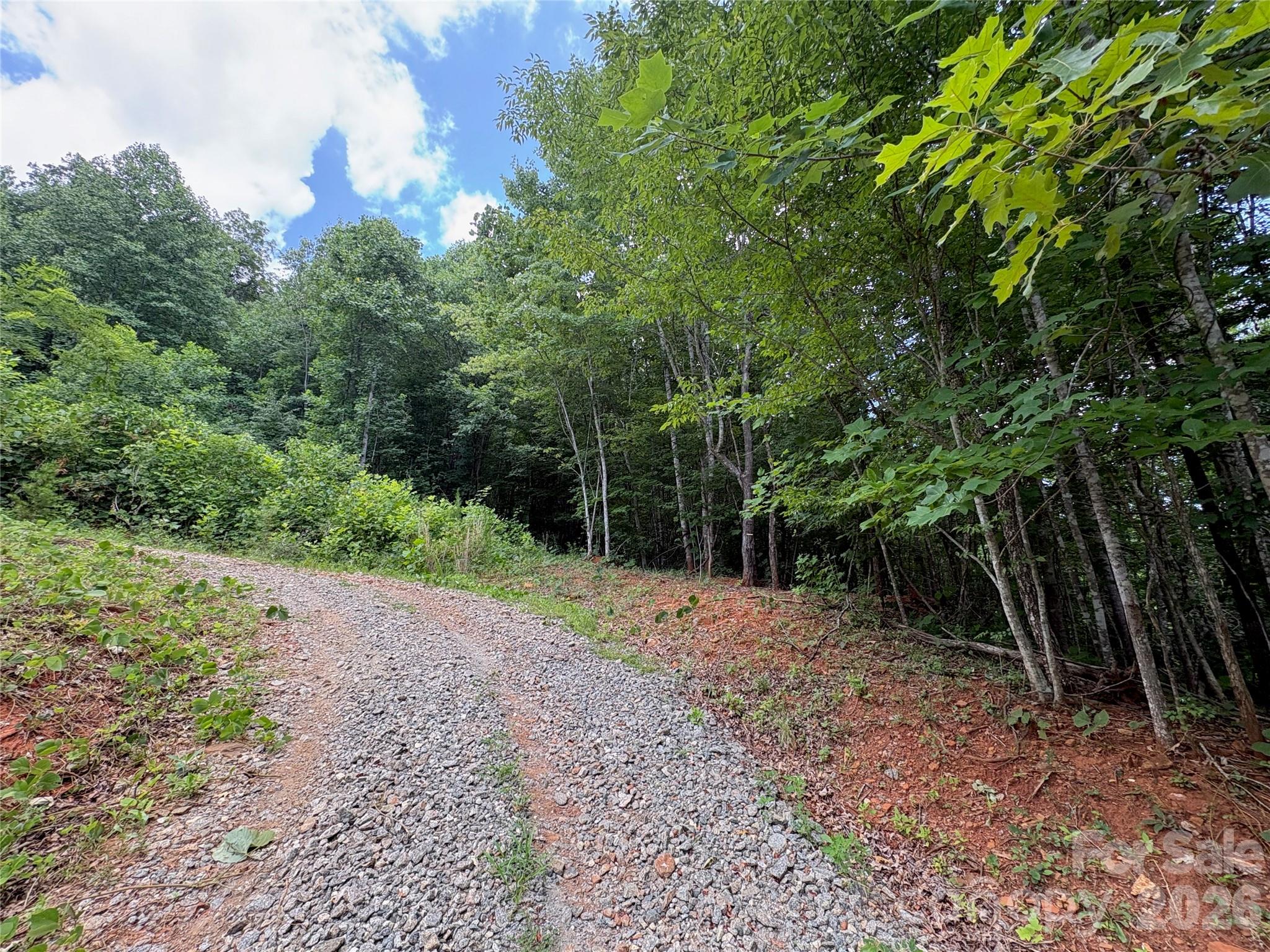 289 Champagne Ridge Lake Lure, NC 28746 - Photo 3 of 6