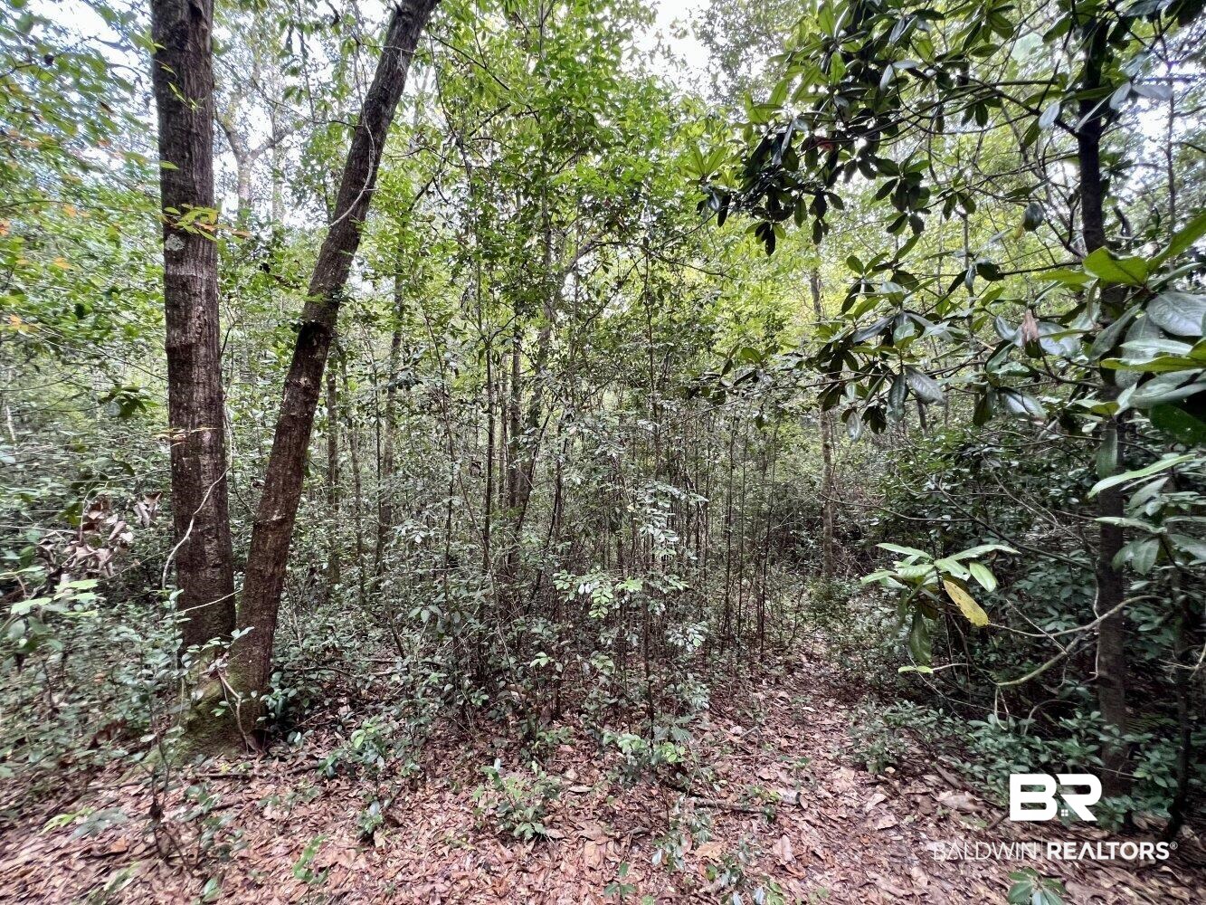 0 Bear Fork Road Mobile, AL 36618 - Photo 40 of 50