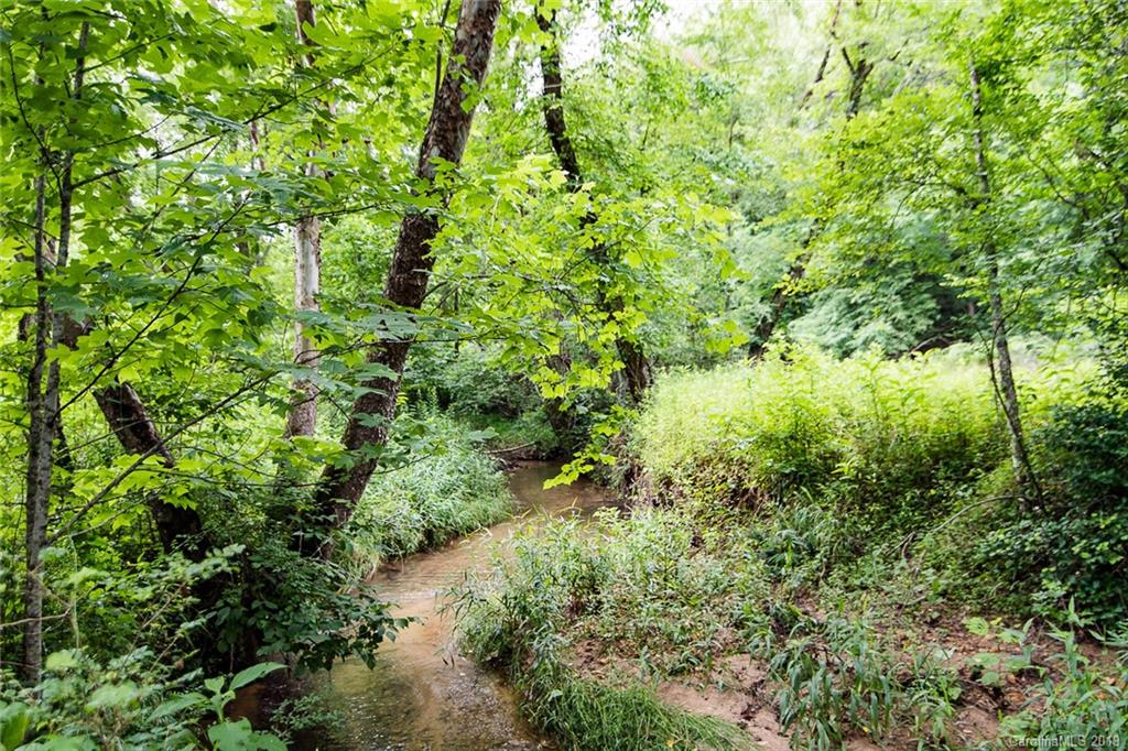 581 Jim Dobbins Road Rutherfordton, NC 28139 - Photo 40 of 47