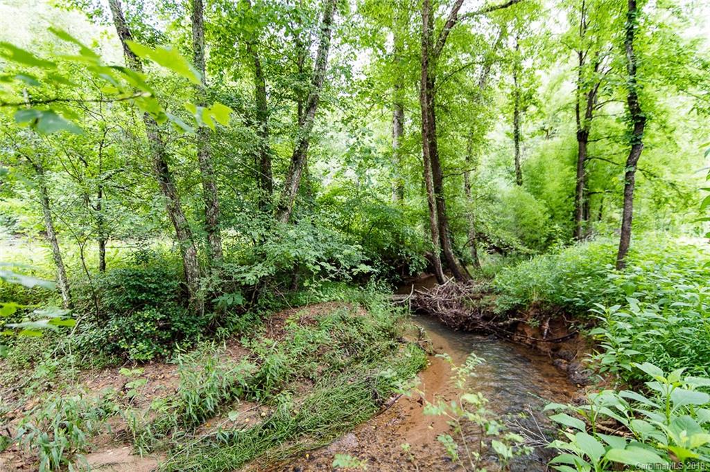 581 Jim Dobbins Road Rutherfordton, NC 28139 - Photo 41 of 47