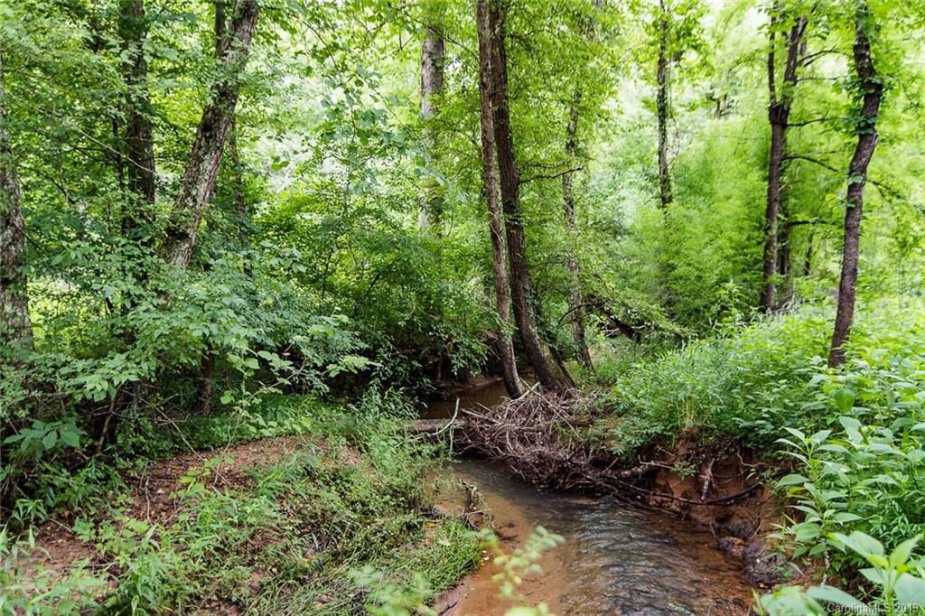 581 Jim Dobbins Road Rutherfordton, NC 28139 - Photo 42 of 47