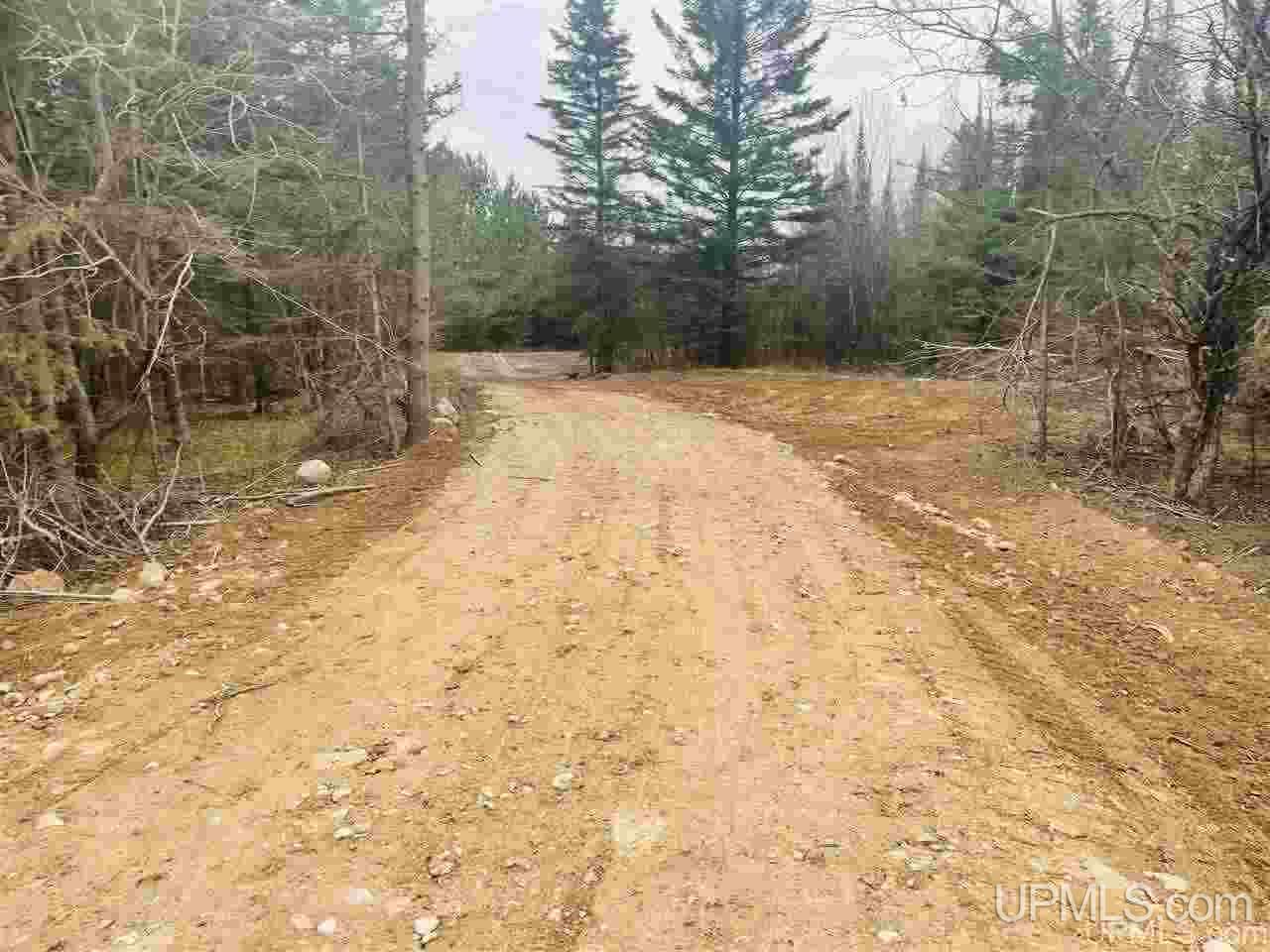 Tbd St Nicholas Road Rock, MI 49880 - Photo 3 of 22