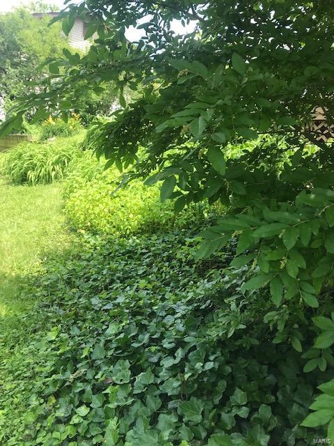 10743 Mueller Road St. Louis, MO 63123 - Photo 21 of 67 Gallery Image 21