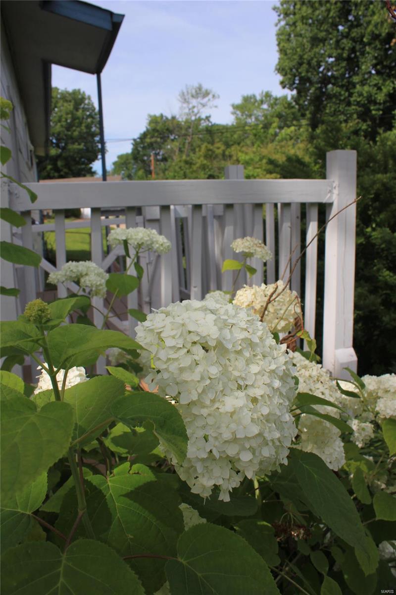 10743 Mueller Road St. Louis, MO 63123 - Photo 39 of 67 Gallery Image 39