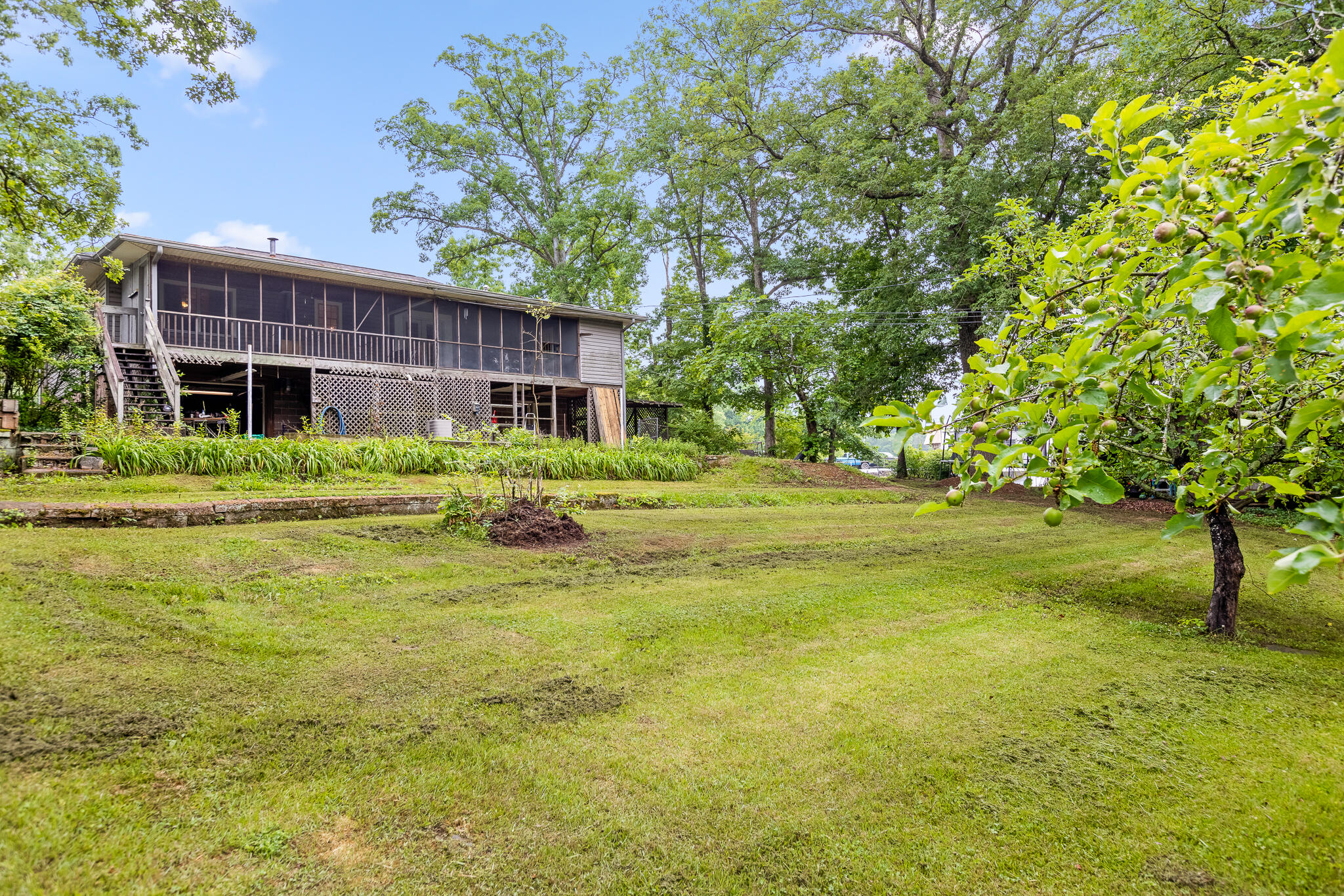 903 Ridgeway Avenue Signal Mountain, TN 37377 - Photo 27 of 38 Backyard