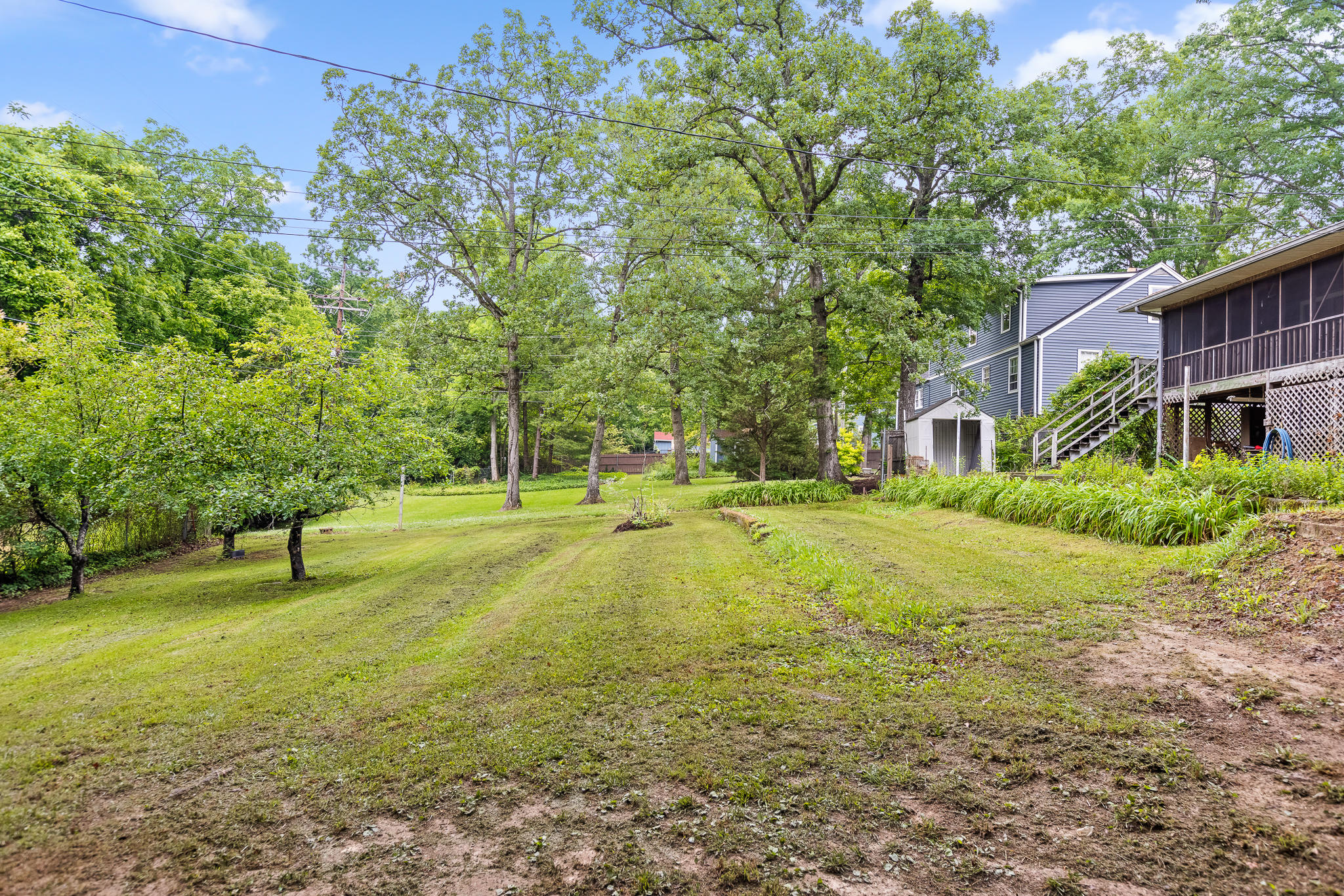903 Ridgeway Avenue Signal Mountain, TN 37377 - Photo 28 of 38 Backyard
