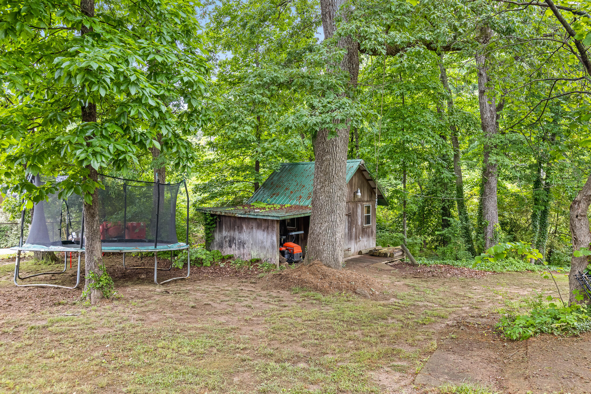 903 Ridgeway Avenue Signal Mountain, TN 37377 - Photo 31 of 38 Backyard
