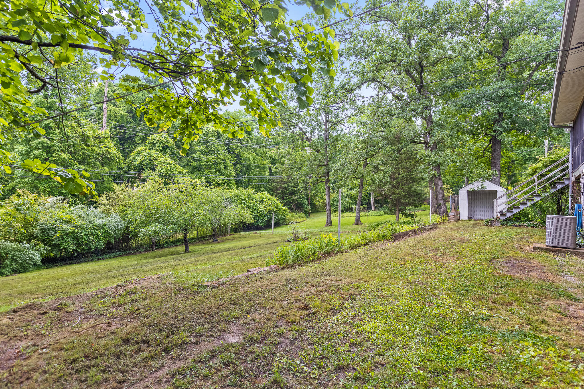 903 Ridgeway Avenue Signal Mountain, TN 37377 - Photo 33 of 38 Backyard