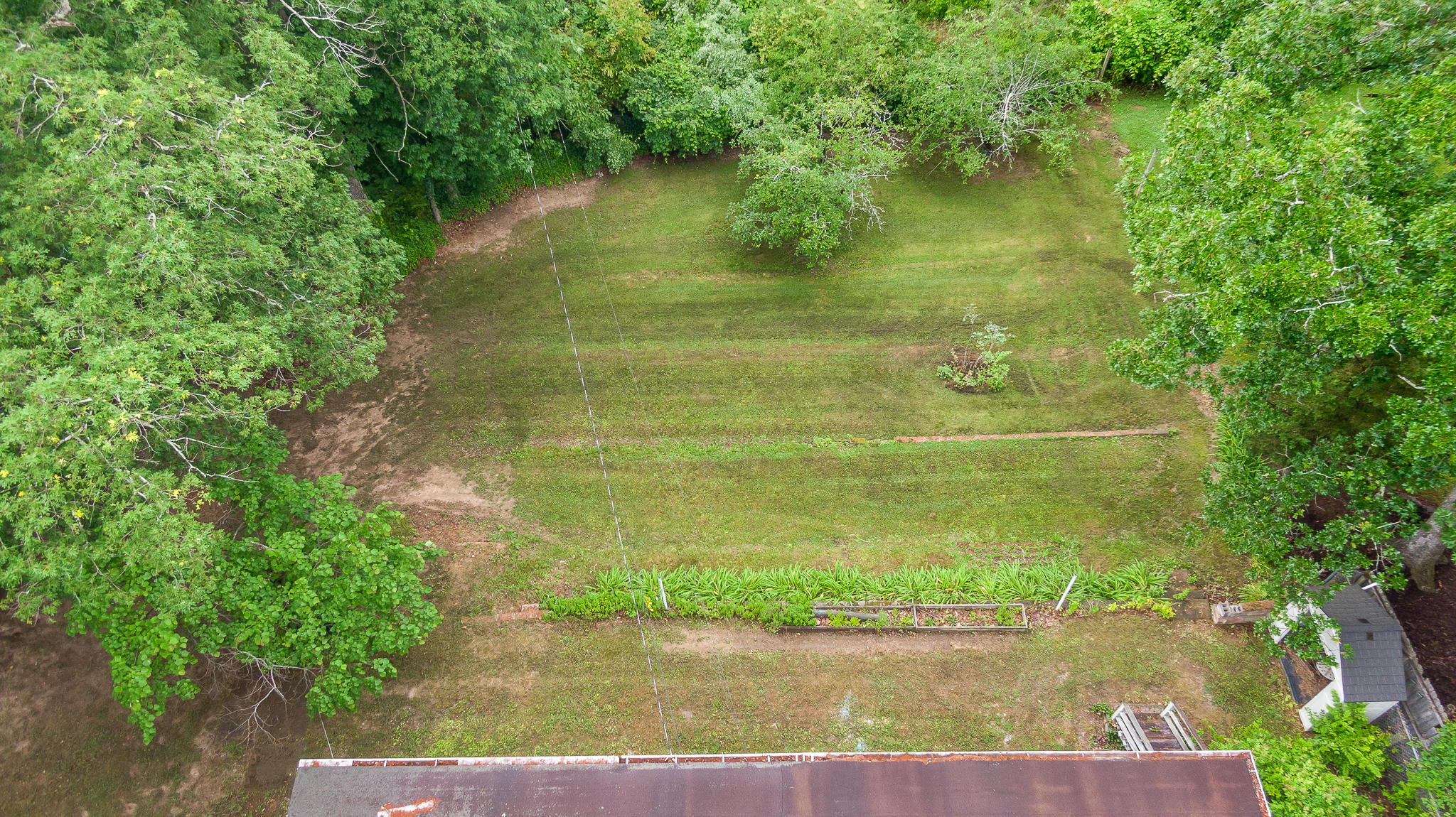 903 Ridgeway Avenue Signal Mountain, TN 37377 - Photo 34 of 38 Backyard