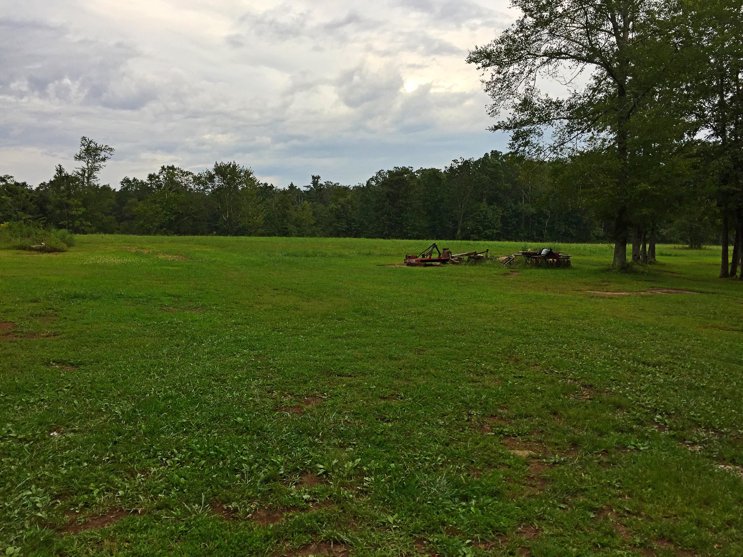 340 Olinger Road Dayton, TN 37321 - Photo 6 of 27 IMG_2651