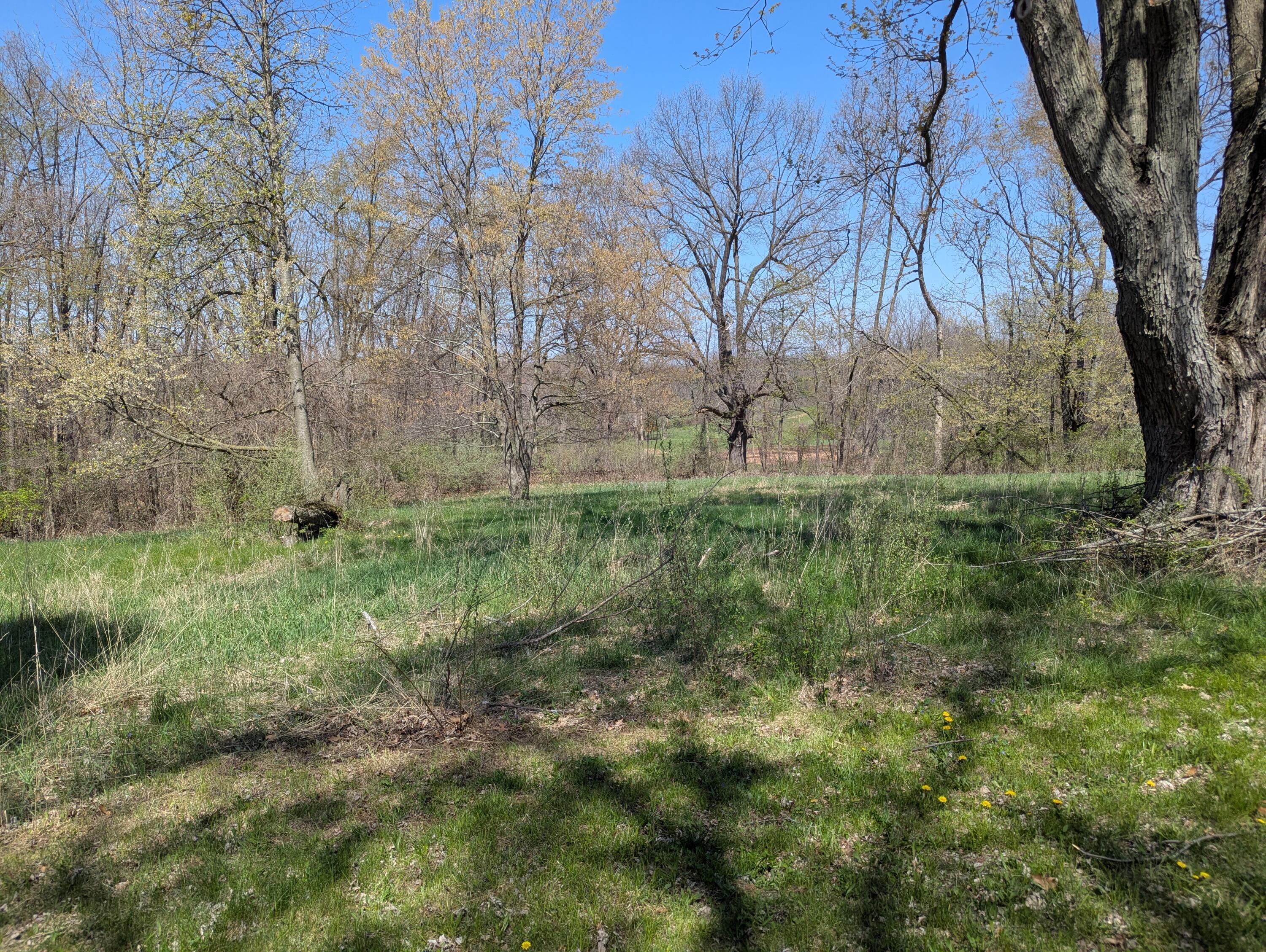 13421 Woerner Road Manitou Beach, MI 49253 - Photo 22 of 30 PXL_20260422_162548977