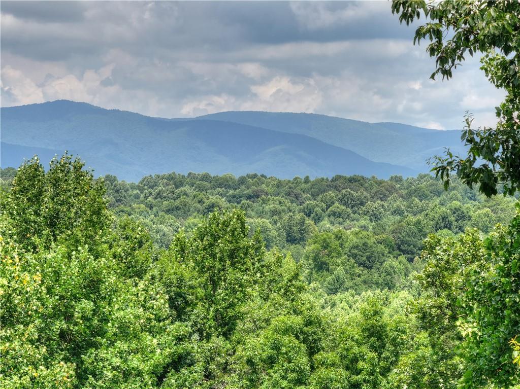 2086 Burnt Mountain Road Ellijay, GA 30536 - Photo 136 of 148