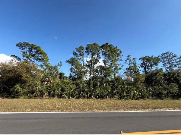 a view of a yard and a mountain view