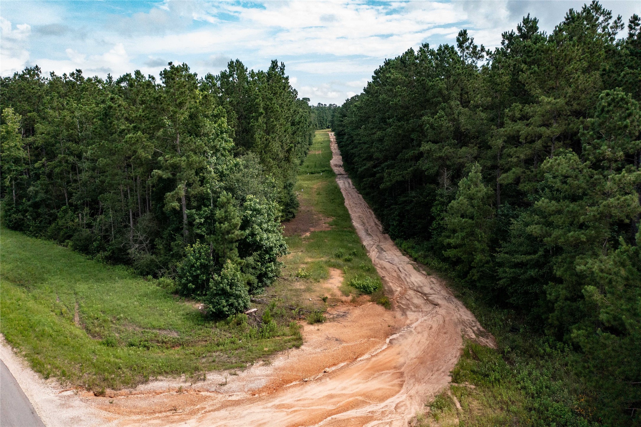 10775 Ruger Road Willis, TX 77378 - Photo 6 of 11 a view of a yard with plants
