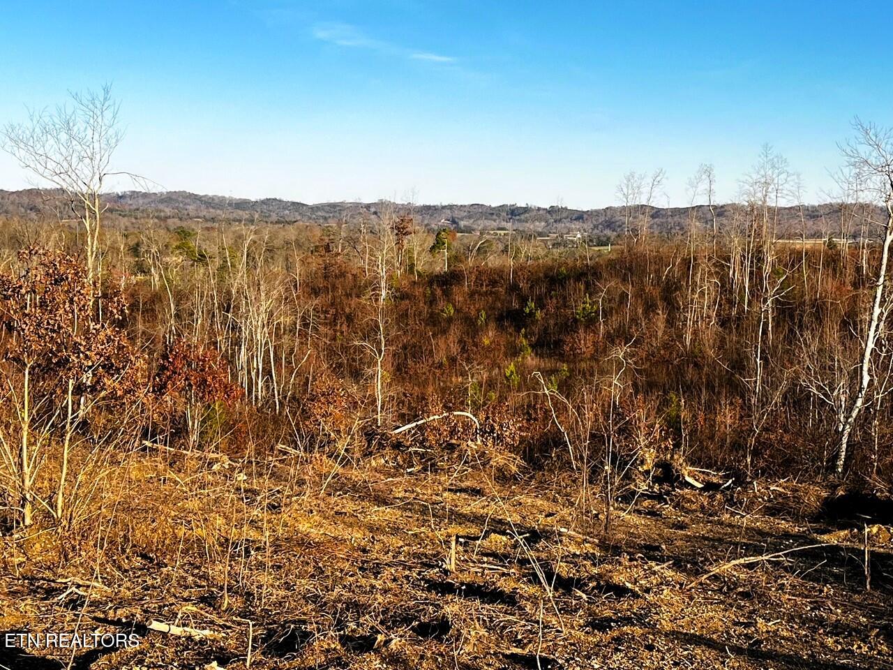 Ten Euchee Road Ten Mile, TN 37880 - Photo 11 of 25 EU B main buildsite