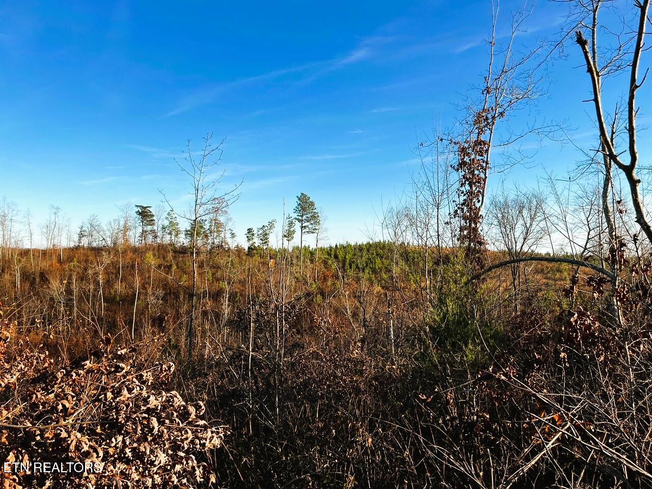 Ten Euchee Road Ten Mile, TN 37880 - Photo 15 of 25 EU B View of from homesite