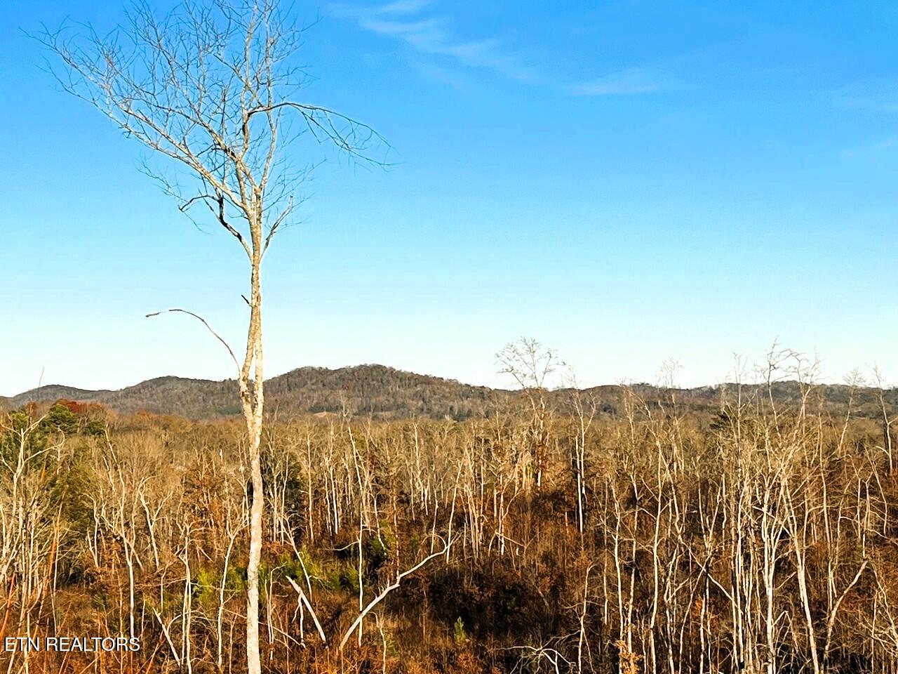 Ten Euchee Road Ten Mile, TN 37880 - Photo 18 of 25 EU B southeast view of tract
