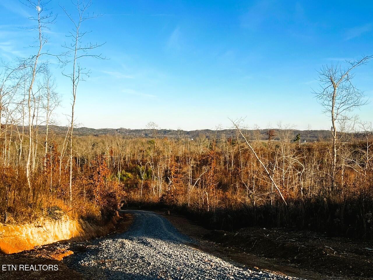 Ten Euchee Road Ten Mile, TN 37880 - Photo 19 of 25 EU B driveway