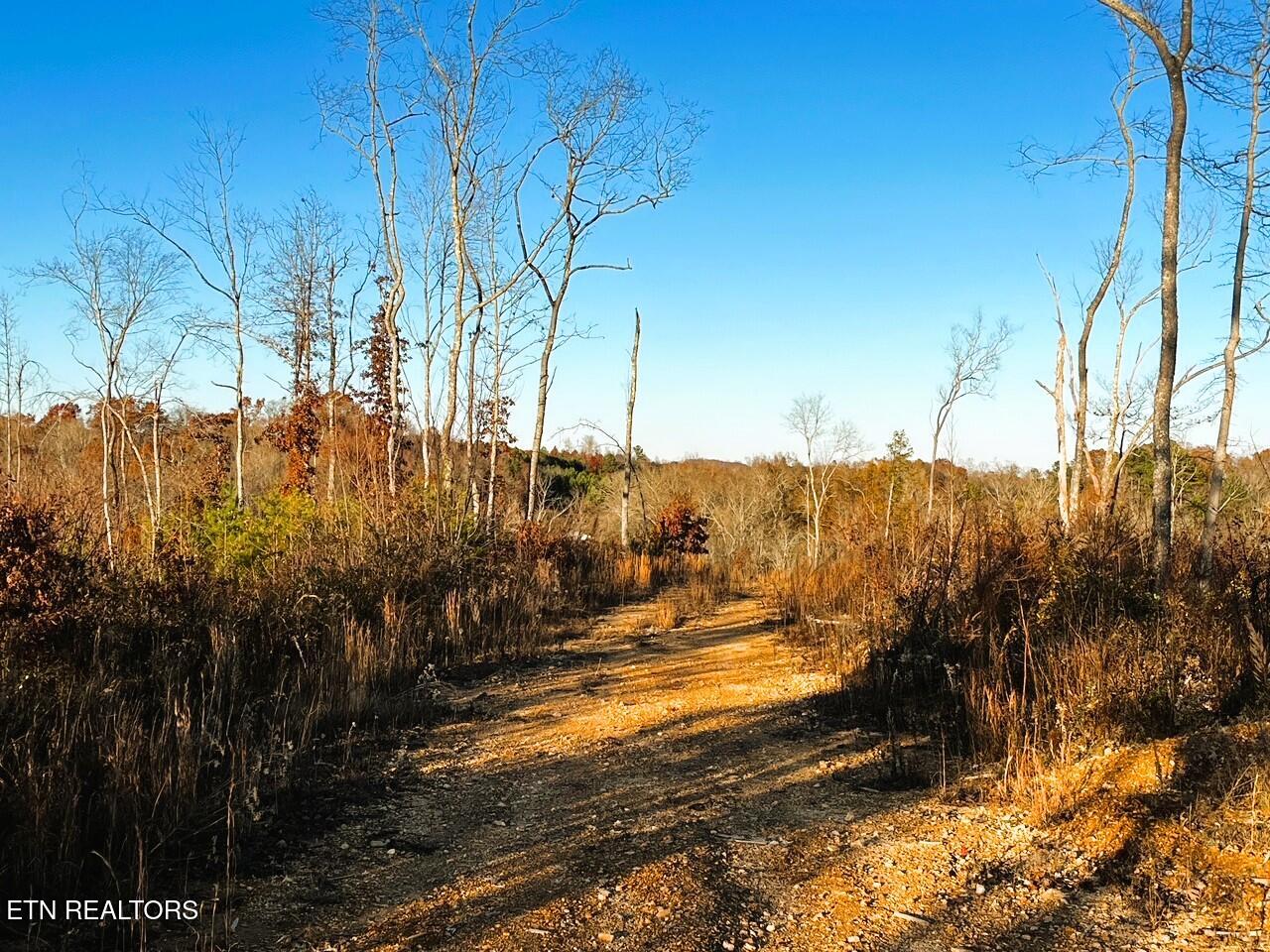 Ten Euchee Road Ten Mile, TN 37880 - Photo 20 of 25 Driveway homesite 2