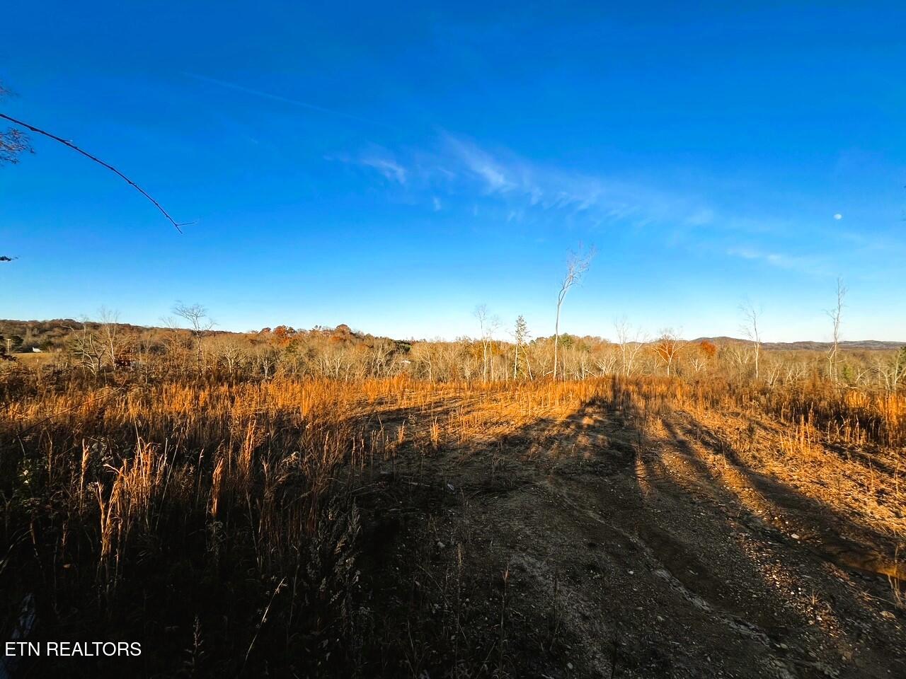 Ten Euchee Road Ten Mile, TN 37880 - Photo 24 of 25 Eu B buildsite 2 full