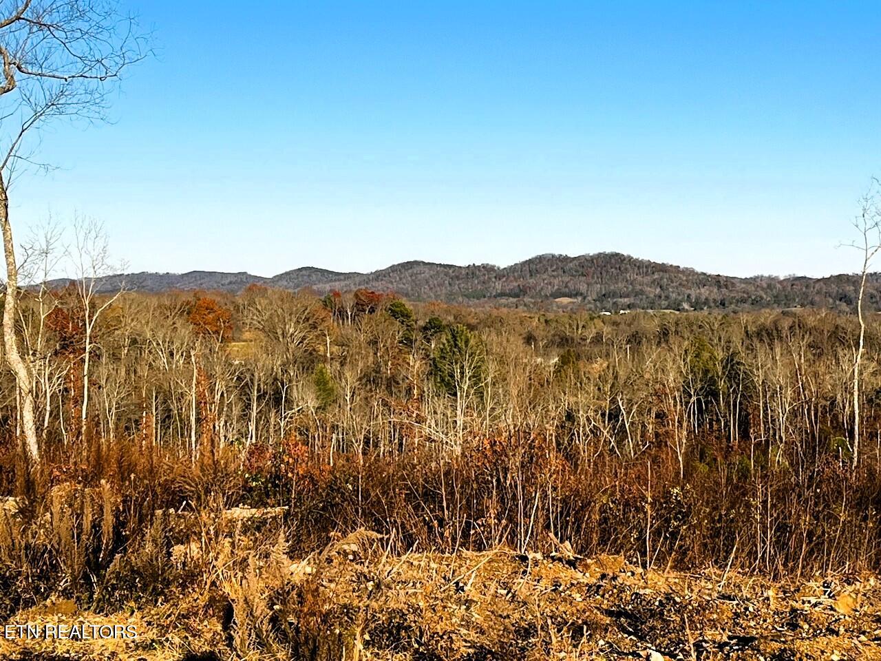 Ten Euchee Road Ten Mile, TN 37880 - Photo 5 of 25 EU b main buildsite views 3