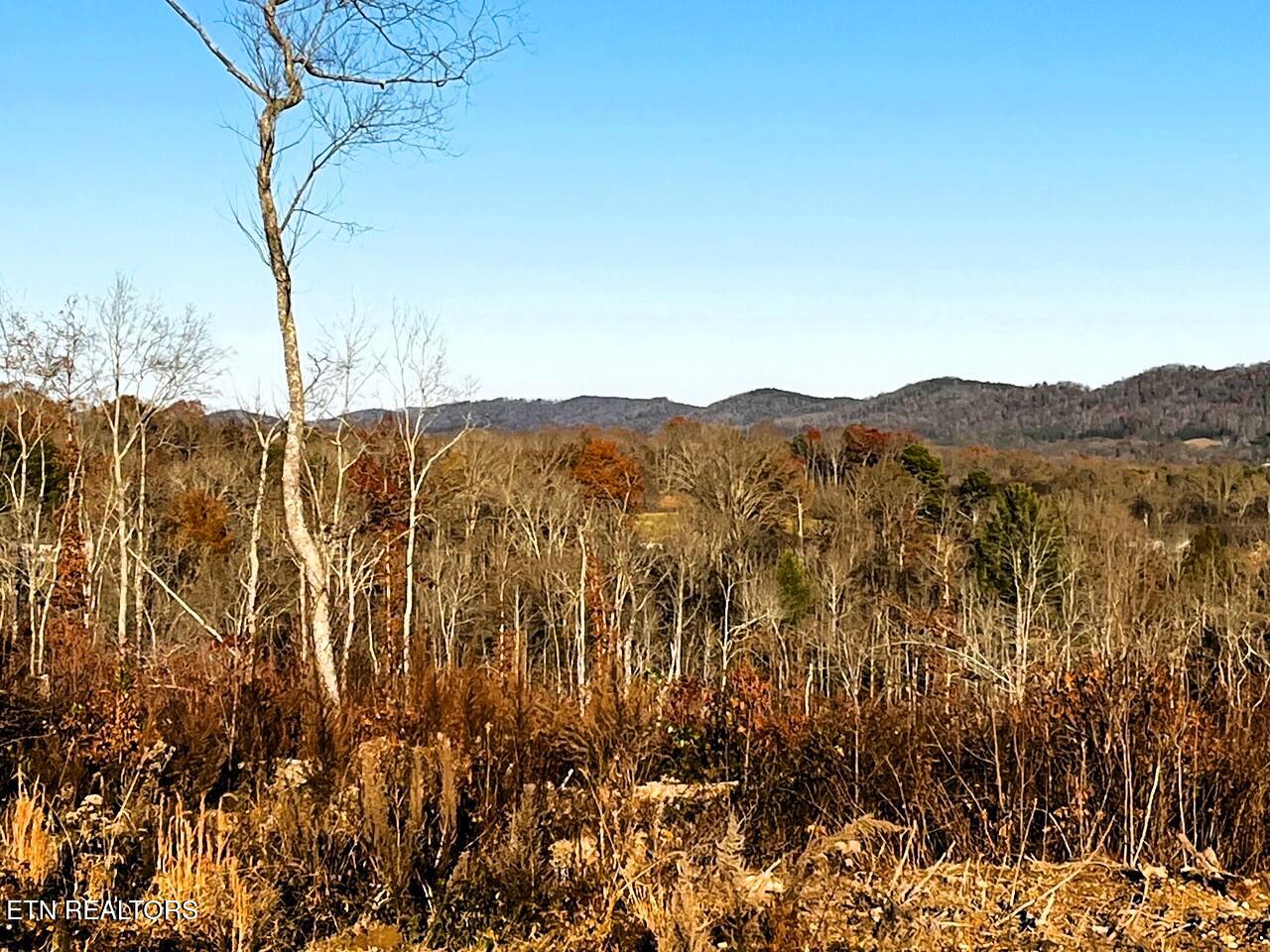 Ten Euchee Road Ten Mile, TN 37880 - Photo 6 of 25 Eu B views from buildsite main