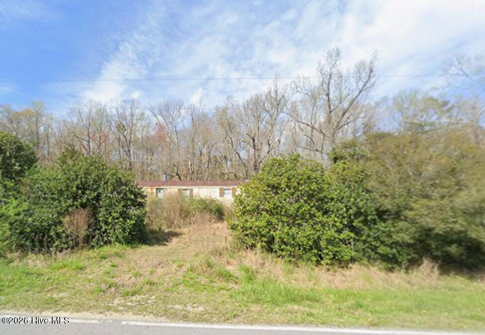 208 Neals Creek Road Bayboro, NC 28515 - Photo 3 of 3
