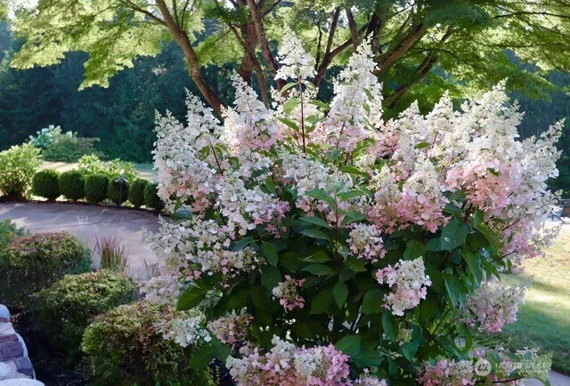 $4,250,000 | 29935 Northeast Tolt Hill Road, Carnation, WA 98014