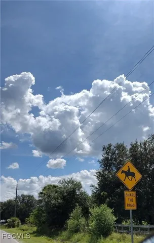 a view of a garden with plants