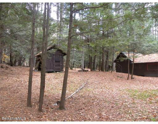 111 Rowe Road Charlemont, MA 01339 - Photo 14 of 17 a backyard of a house with a yard and trees