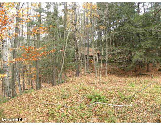 111 Rowe Road Charlemont, MA 01339 - Photo 15 of 17 a view of residential area with trees