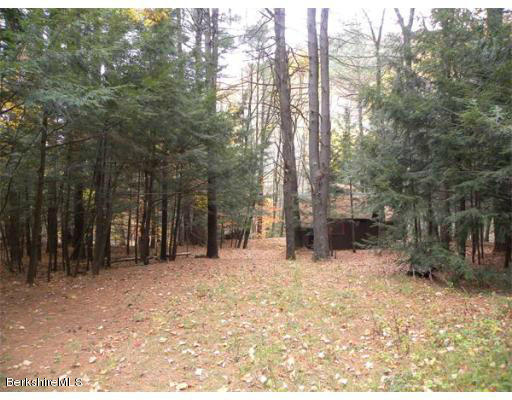 111 Rowe Road Charlemont, MA 01339 - Photo 4 of 17 a view of outdoor space yard and trees