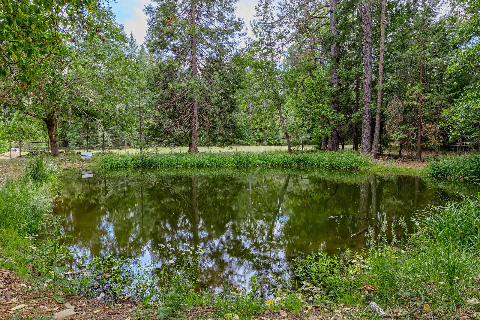 2444 Cedar Flat Road Williams, OR 97544 - Photo 25 of 74 14_CFR_14_mls