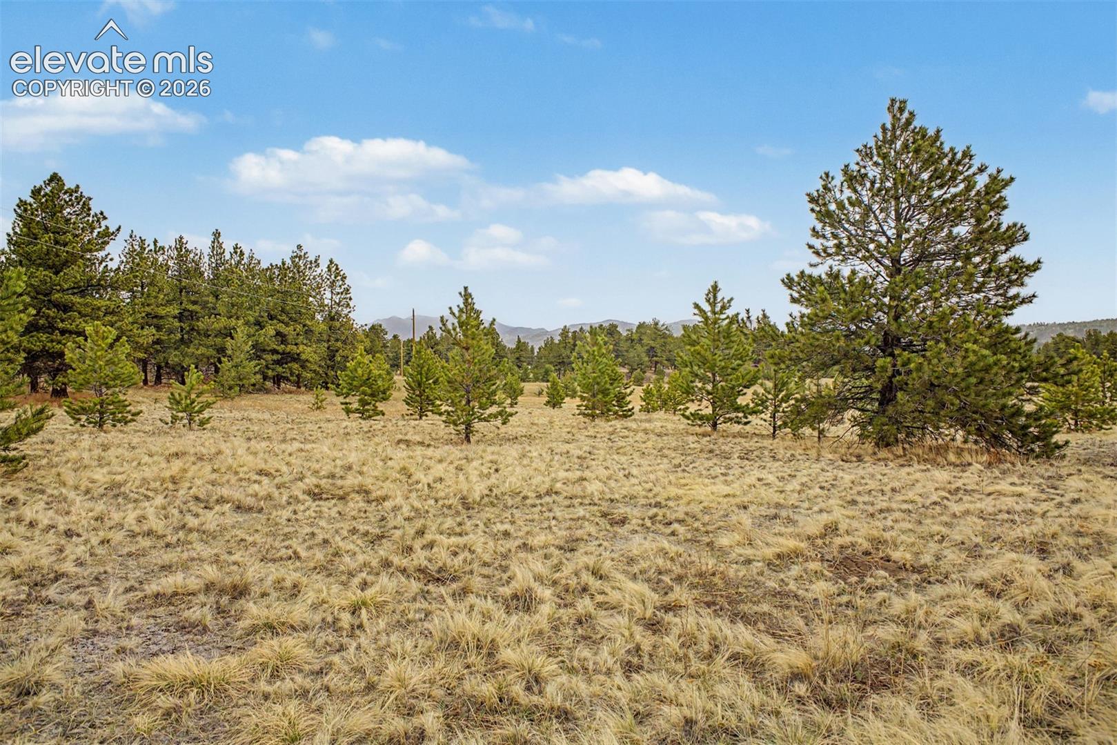 Ranger Station Road Florissant, CO 80816 - Photo 16 of 36 Gallery Image 16