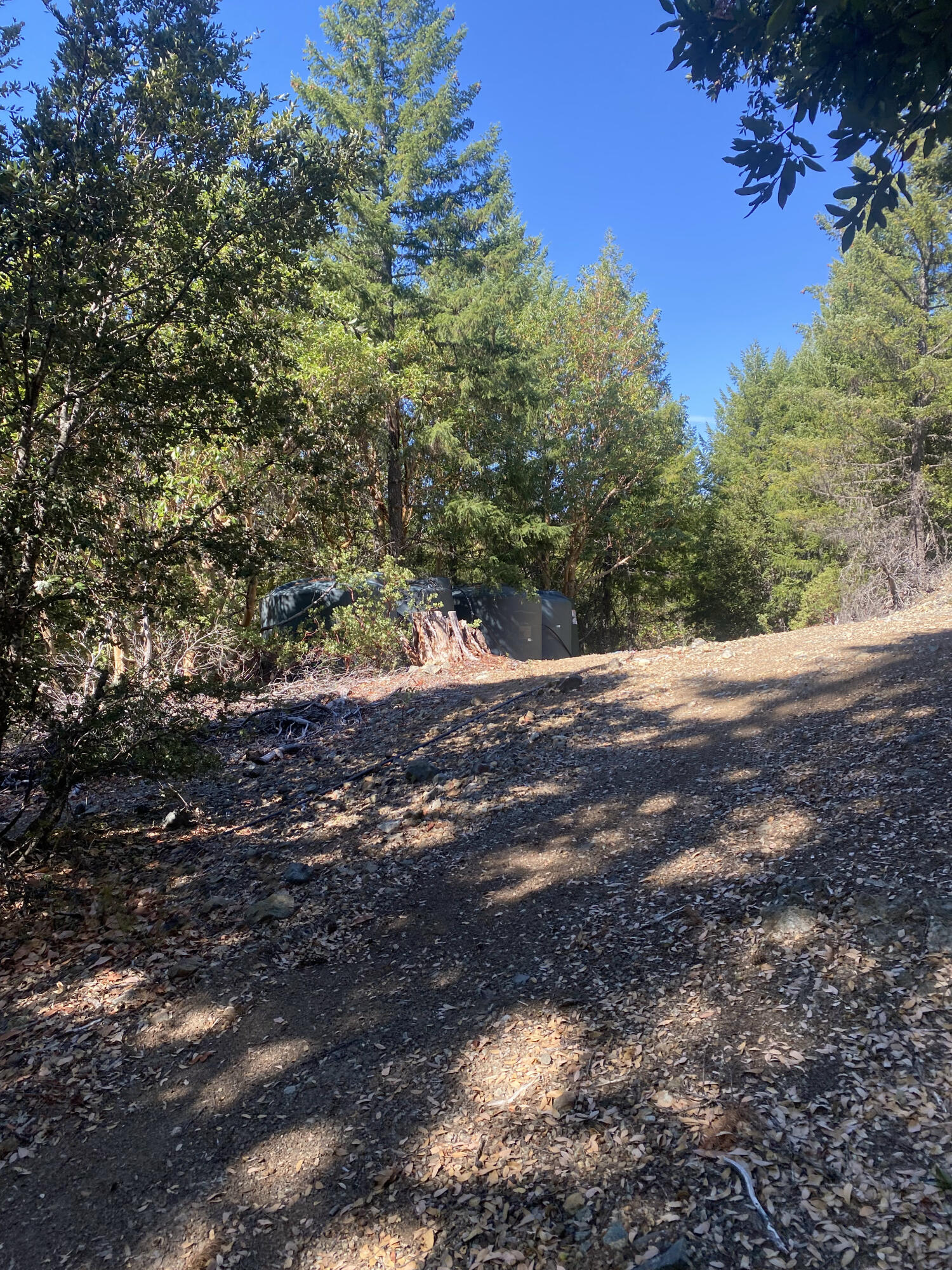 1780 Mcdonald Creek Road Burnt Ranch, CA 95527 - Photo 36 of 58
