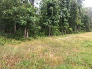 V/l James Road Baldwin, MI 49304 - Photo 1 of 11 Front of Property