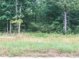 V/l James Road Baldwin, MI 49304 - Photo 2 of 11 Image2