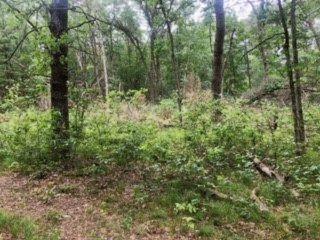 V/l James Road Baldwin, MI 49304 - Photo 3 of 11 Image3