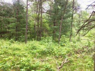 V/l James Road Baldwin, MI 49304 - Photo 8 of 11 Image8