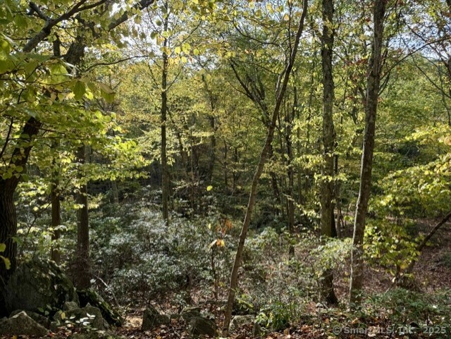 69 Moosehorn Road Roxbury, CT 06783 - Photo 4 of 13