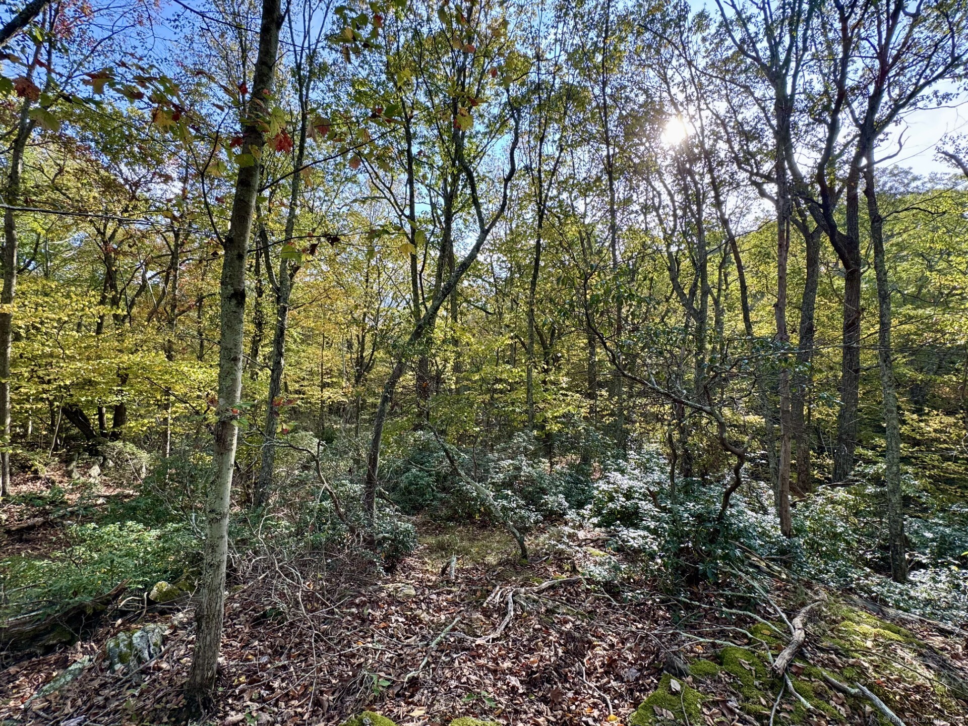 69 Moosehorn Road Roxbury, CT 06783 - Photo 7 of 13