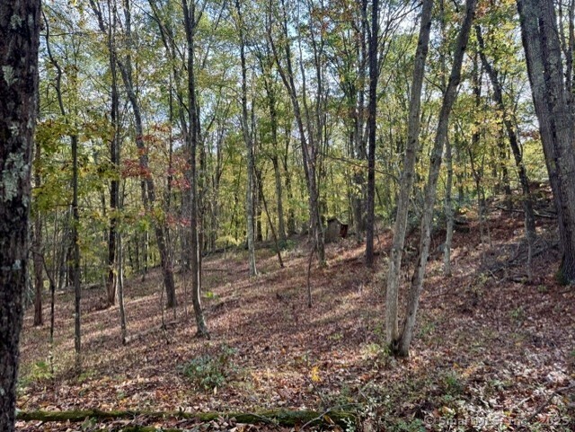 69 Moosehorn Road Roxbury, CT 06783 - Photo 8 of 13